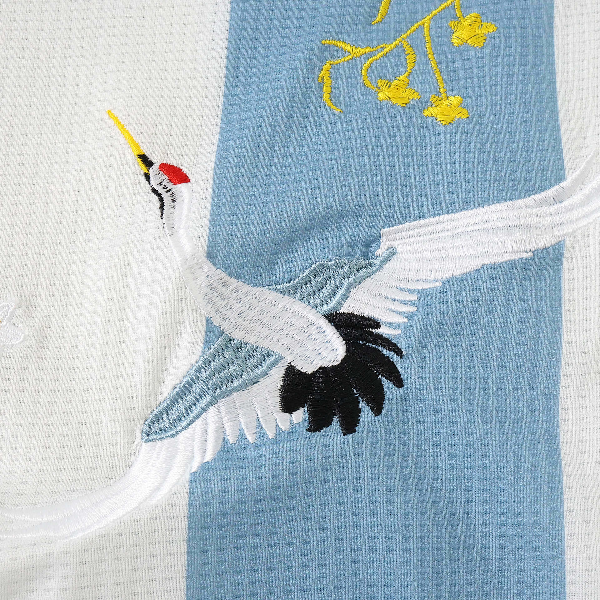 Argentina 50 Years Embroidered 24/25 Special - View 4