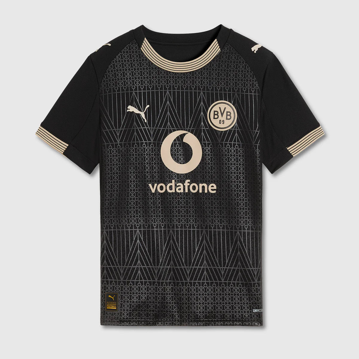 Die Borussen Centenary 25/26 Kids Shirt