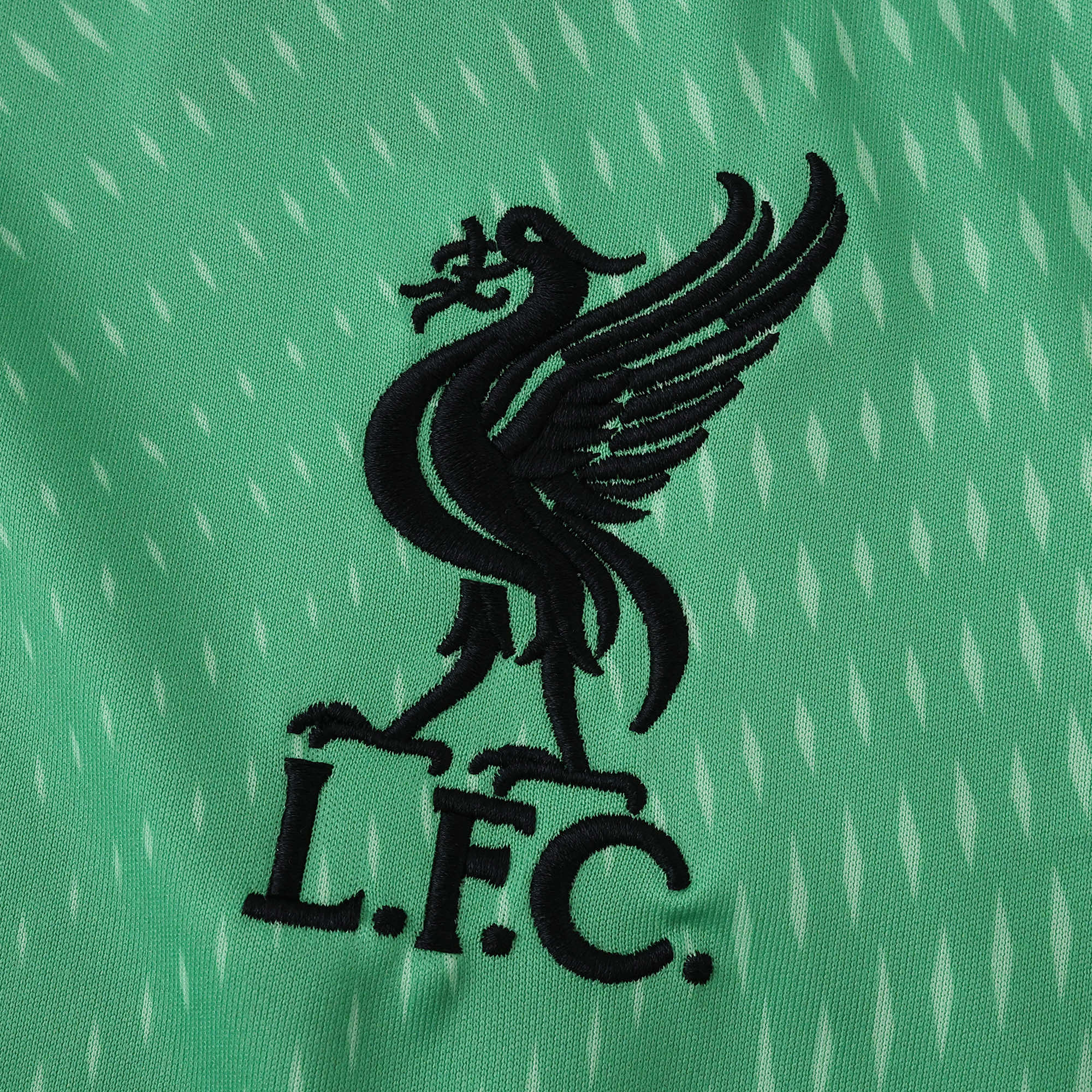 25/26 Goalkeeper Shirt - View 3